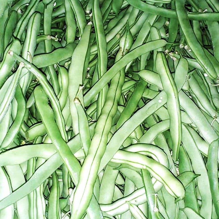 beans with pods from 'Ktima Golemi' crops